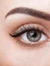 Lash 1.0: The Classic Course